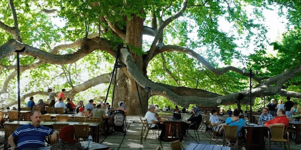 Bursa Day Tour from Istanbul with Lunch and Cable Car