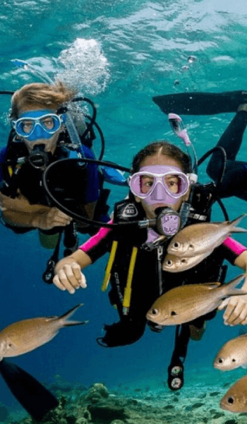 Scuba diving in Fethiye with rich marine life