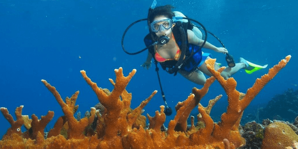 Scuba diving in the Mediterranean Sea off the Fethiye coast