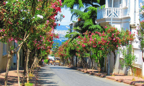 istanbul-package-tour-princes-islands-tour
